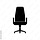 Chair Sports