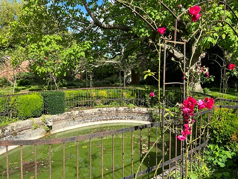 Photos of some of the flowers at Corsham Court. Images: Roland's Travels