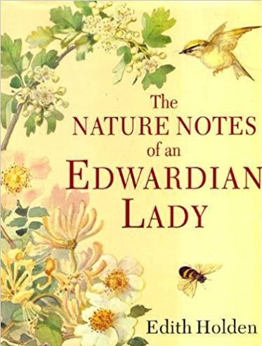 EDITH HOLDEN - The Brit Club