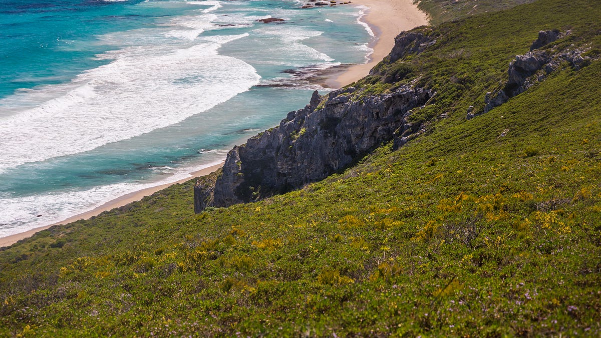 Burcu details hiking the Cape to Cape Trail in Letters from Japan