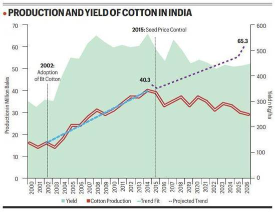 In cotton fields, policy is undoing what science built. That's the challenge for the Cotton Productivity Mission