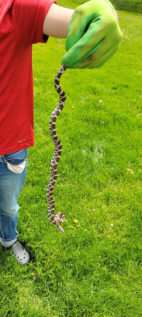 Don't worry, it's safe!
