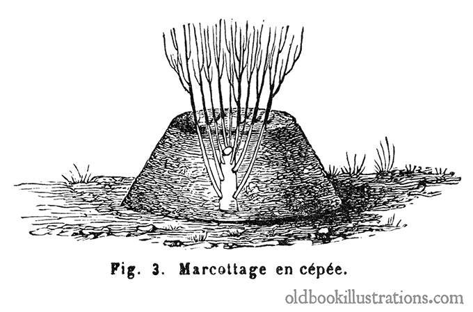 https://www.oldbookillustrations.com/wp-content/uploads/2015/05/mound-layering.jpg