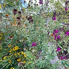 Resistance Gardening Tip: Ditch the Grass