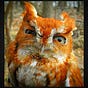 june's avatar