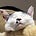 KANはた's avatar