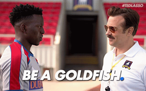 Be a Goldfish. GIF from Ted Lasso Be a Goldfish. GIF from Ted Lasso