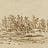 Corn Island Project