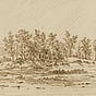 Corn Island Project
