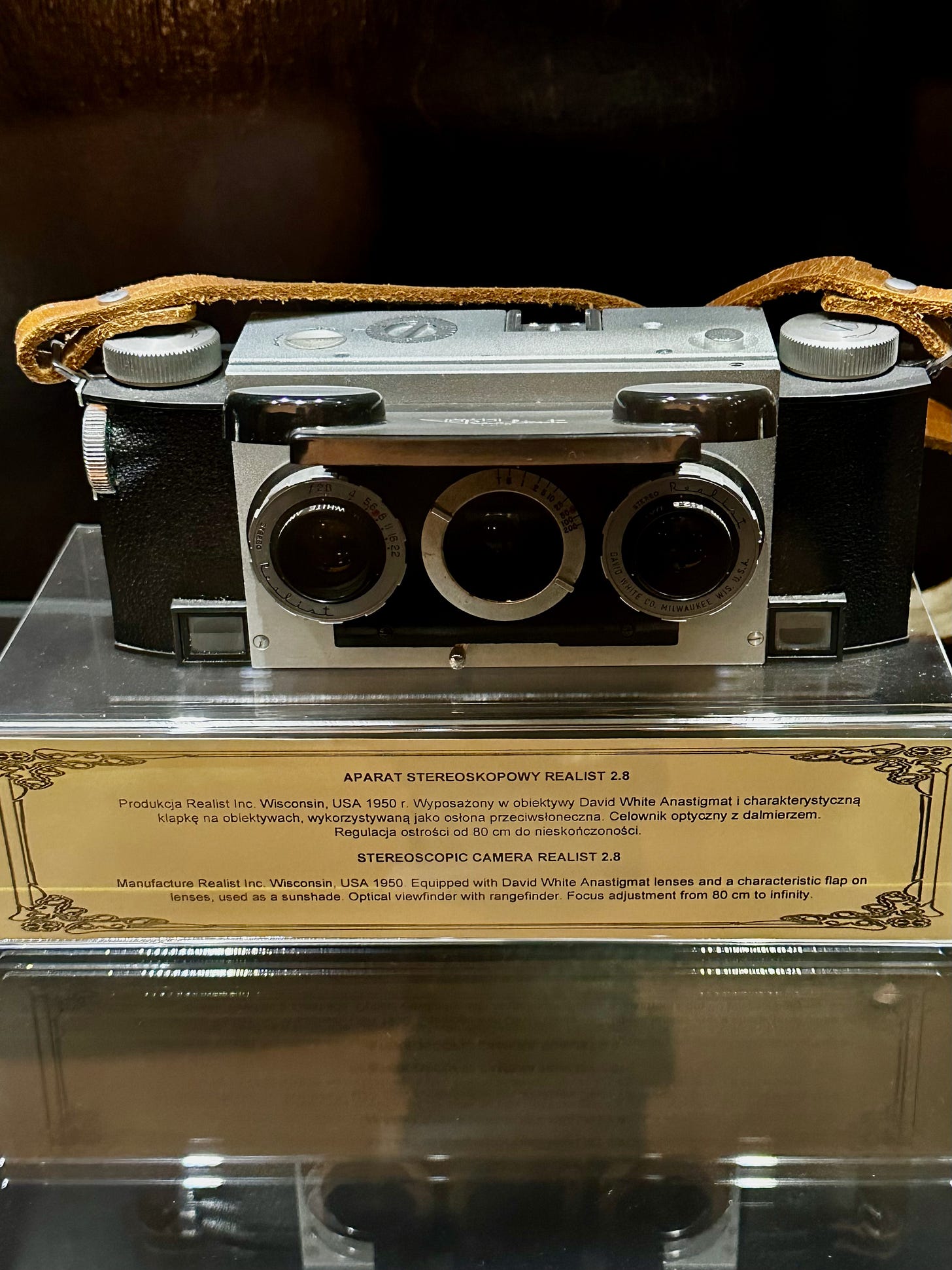 The Warsaw Photoplasticon