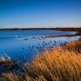Connected Landscapes: How your local river impacts Lough Neagh
