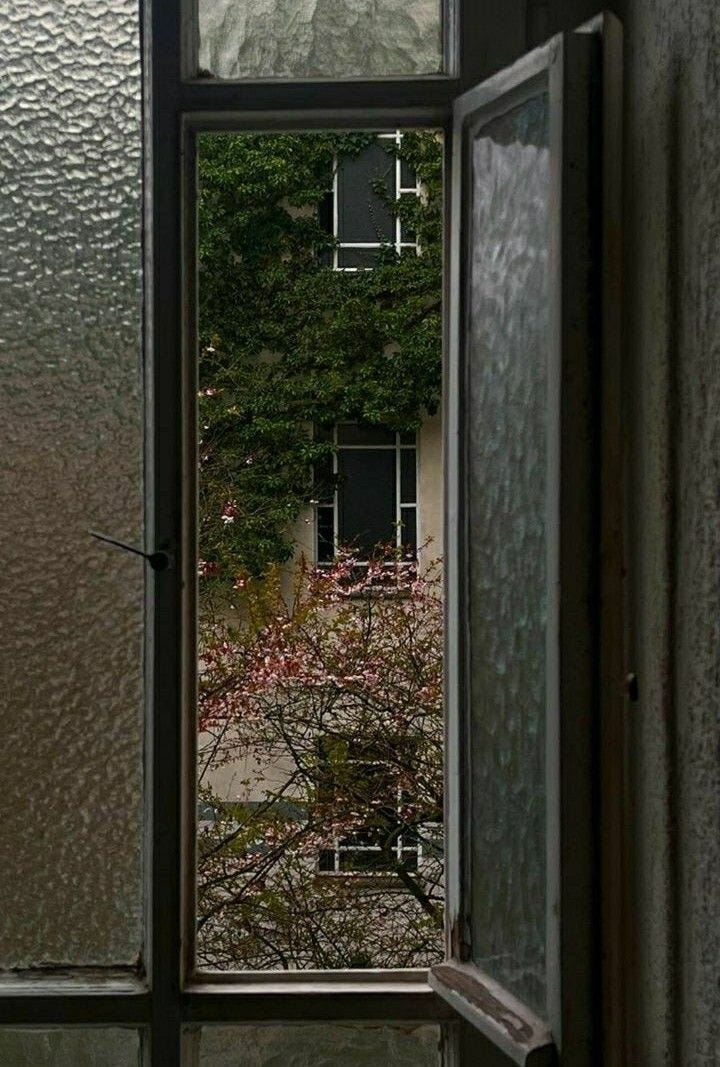 This may contain: an open window looking out onto a building with flowers in the foreground and trees outside