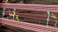 Best Molecular Machines GIFs | Gfycat
