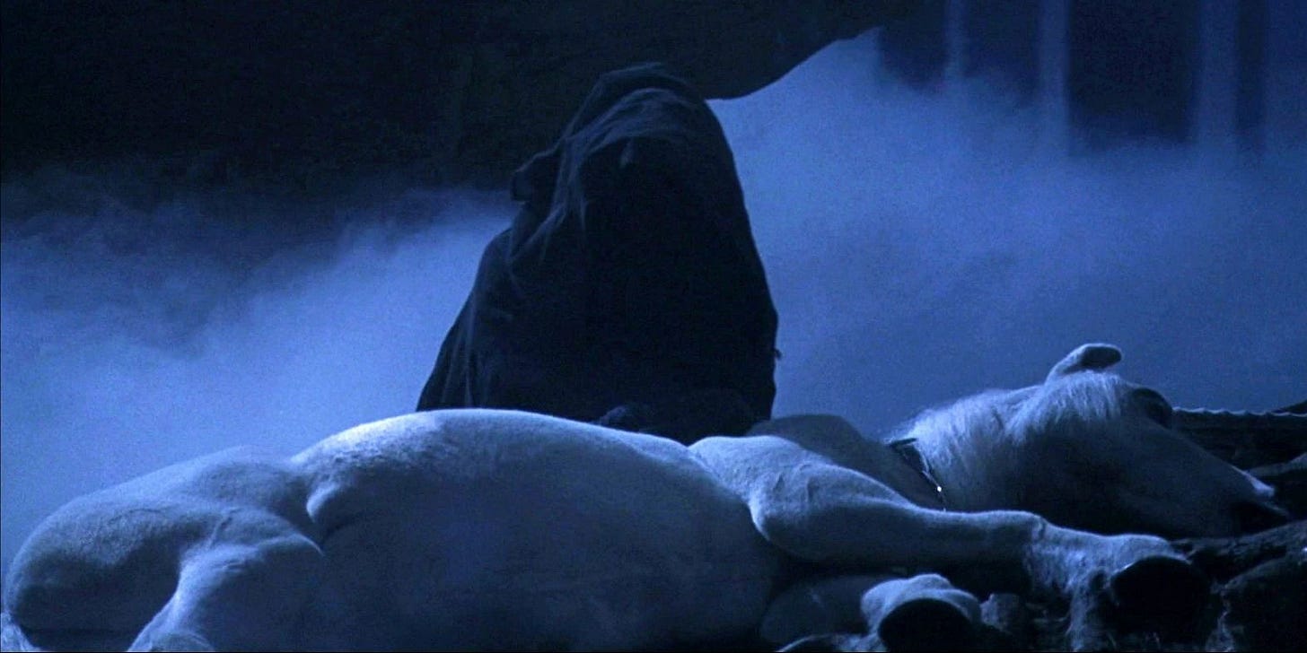 Harry Potter: Why Did Voldemort Drink Unicorn Blood?
