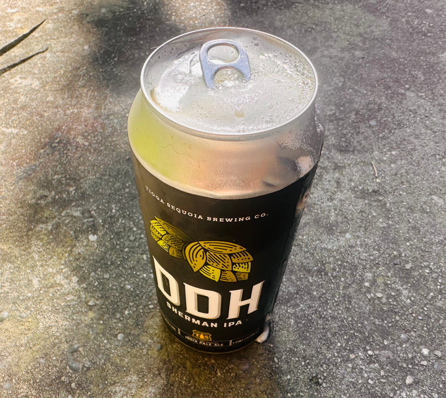 A 16oz open can of beer - Tioga Sequoia Brewing DDH General Sherman IPA