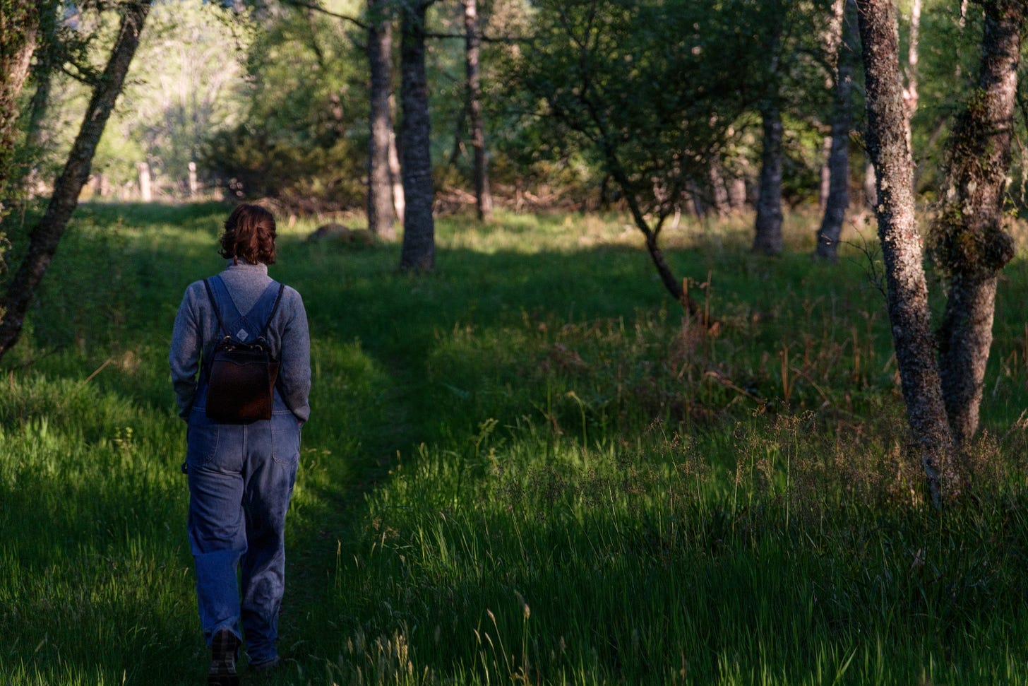 A grainy, dreamlike photo of a my partner walking alone along a narrow forest path at sunrise. The warm morning light filters through the trees, casting a gentle glow over the scene. The mood is calm and introspective.