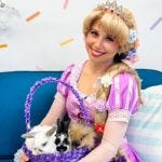 Edmonton Playgrounds A Charmed Affair Tower Princess