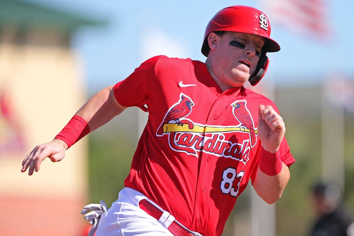 John Nogowski Is an Intriguing DH Candidate - Viva El Birdos