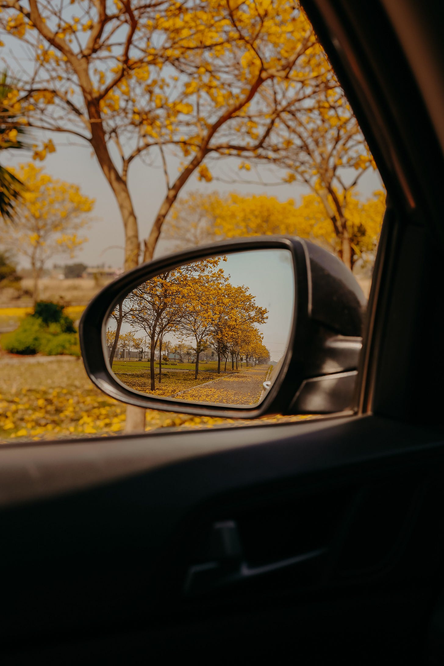 Yellow autumn trees reflected in a car side mirror with a warm and serene vibe for Kay Fabella's Edgewalkers Collective Substack for long-term expats and migrants living abroad