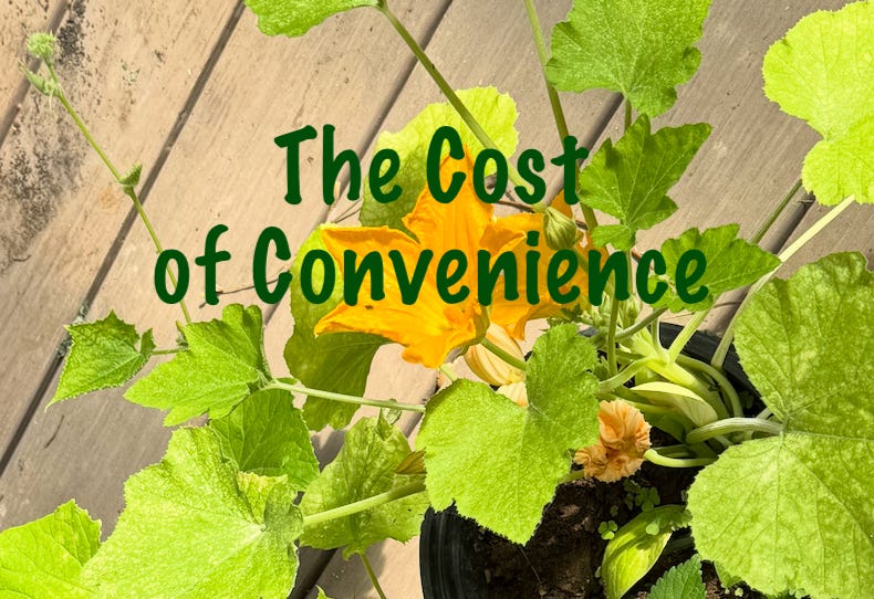 The Cost of Convenience