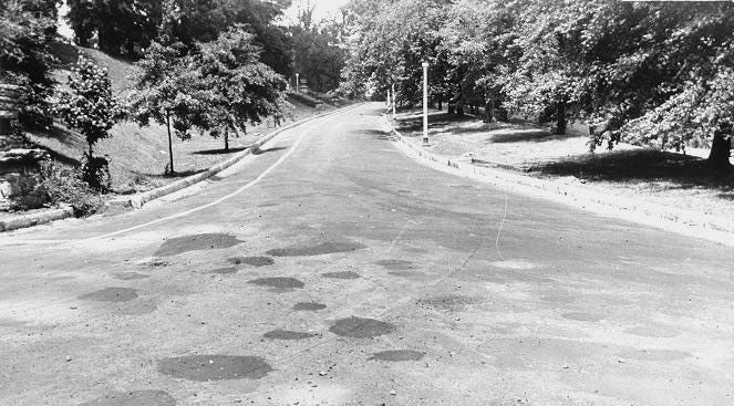 Road running through park