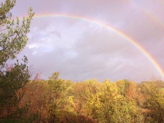 Rainbow Rainbow