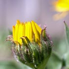 My Last Annual Bra Crisis