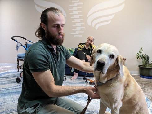 A person petting a dog

AI-generated content may be incorrect.