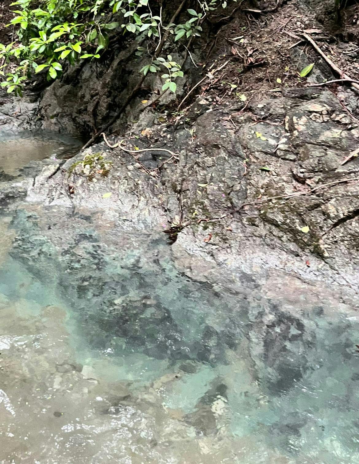 041: Choosing Life, Choosing You! 041: Choosing Life, Choosing You!