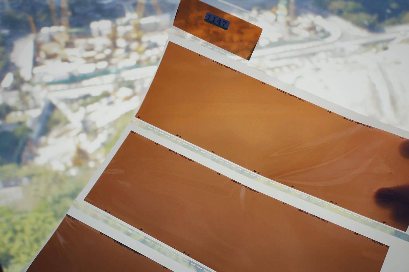 How to Avoid Shooting Blank Film Photos (6 Steps) - Tahusa