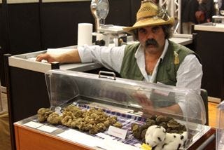 Truffle - Strange vendor with truffles at 350 dpi Truffle - Strange vendor with truffles at 350 dpi