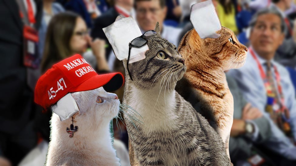 Cats wearing ear bandages in a mockup of the photo from the Republican National Convention