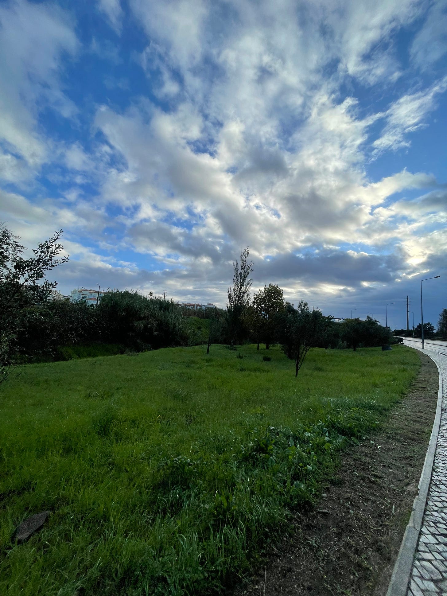 IMG_5982.jpeg