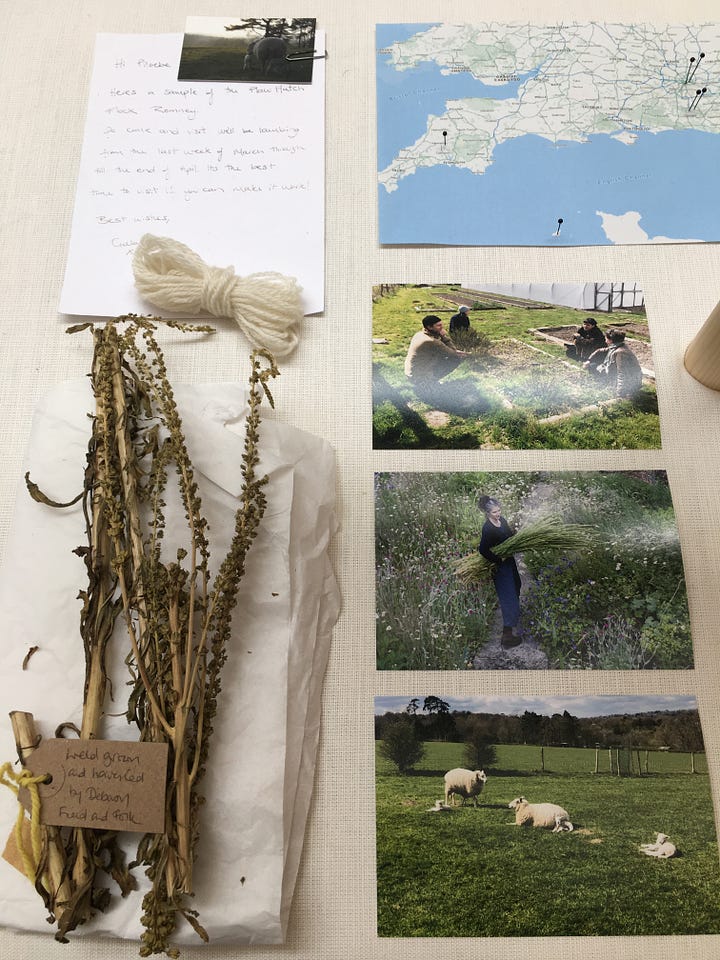 Photos that show the work the Phoebe English studio has done to support bioregional fibre production. A naturally-dyed weld jumper knitted using biodynamically-farmed British wool is on show alongside textile samples and plants..