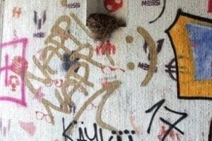 Graffiti