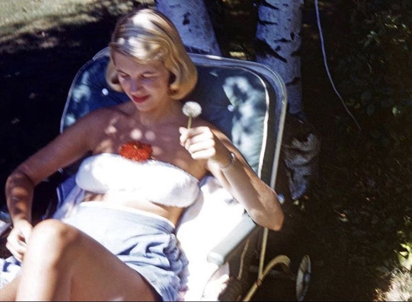 My Inner Sylvia 