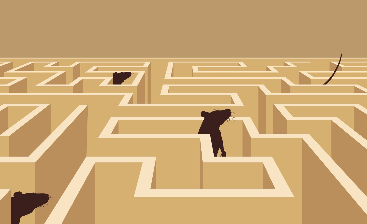 Rats running through VR maze offer insights on memory and learning – The  Hill