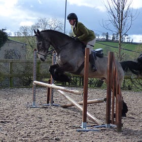 Show jumping at Otterglen Equestrian