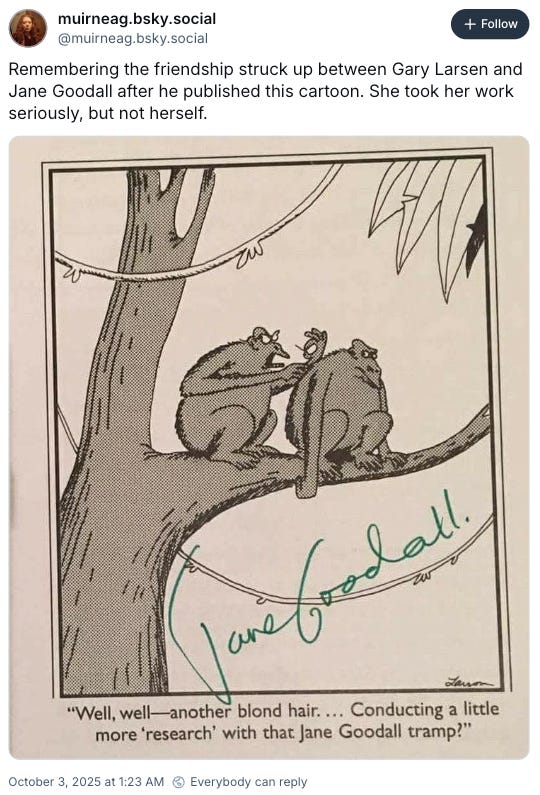 A comic strip signed by Jane Goodall, shared in a post on BlueSky.