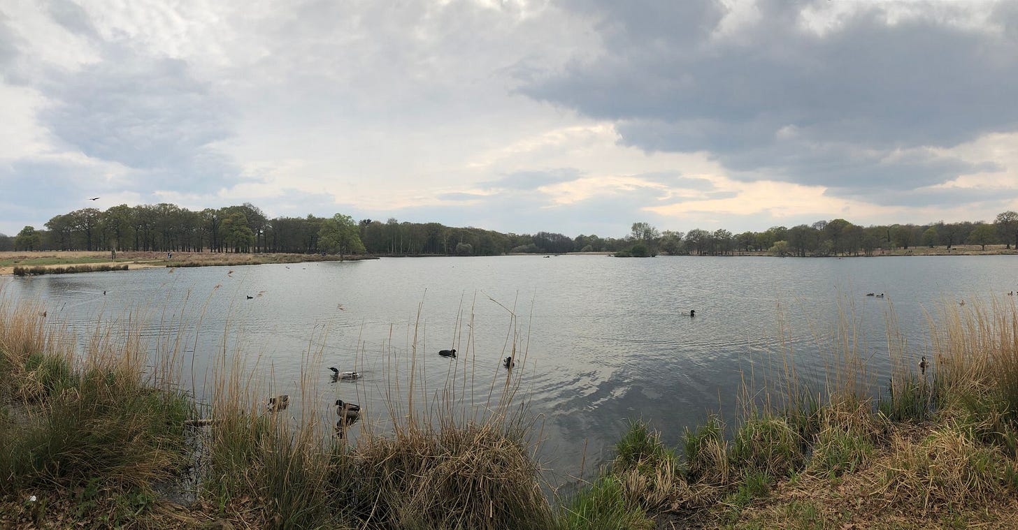 Capital Ring Walk: Wimbledon Park to Richmond Bridge