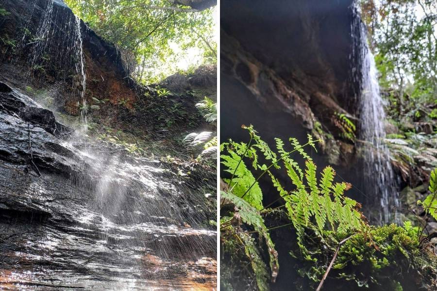 murphys glen lawson murphys glen lawson