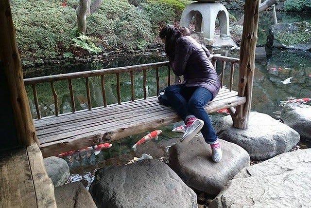 Me looking at the Koi Me looking at the Koi