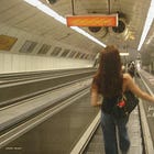 momentum loop theory (step into a life that pulls you forward)