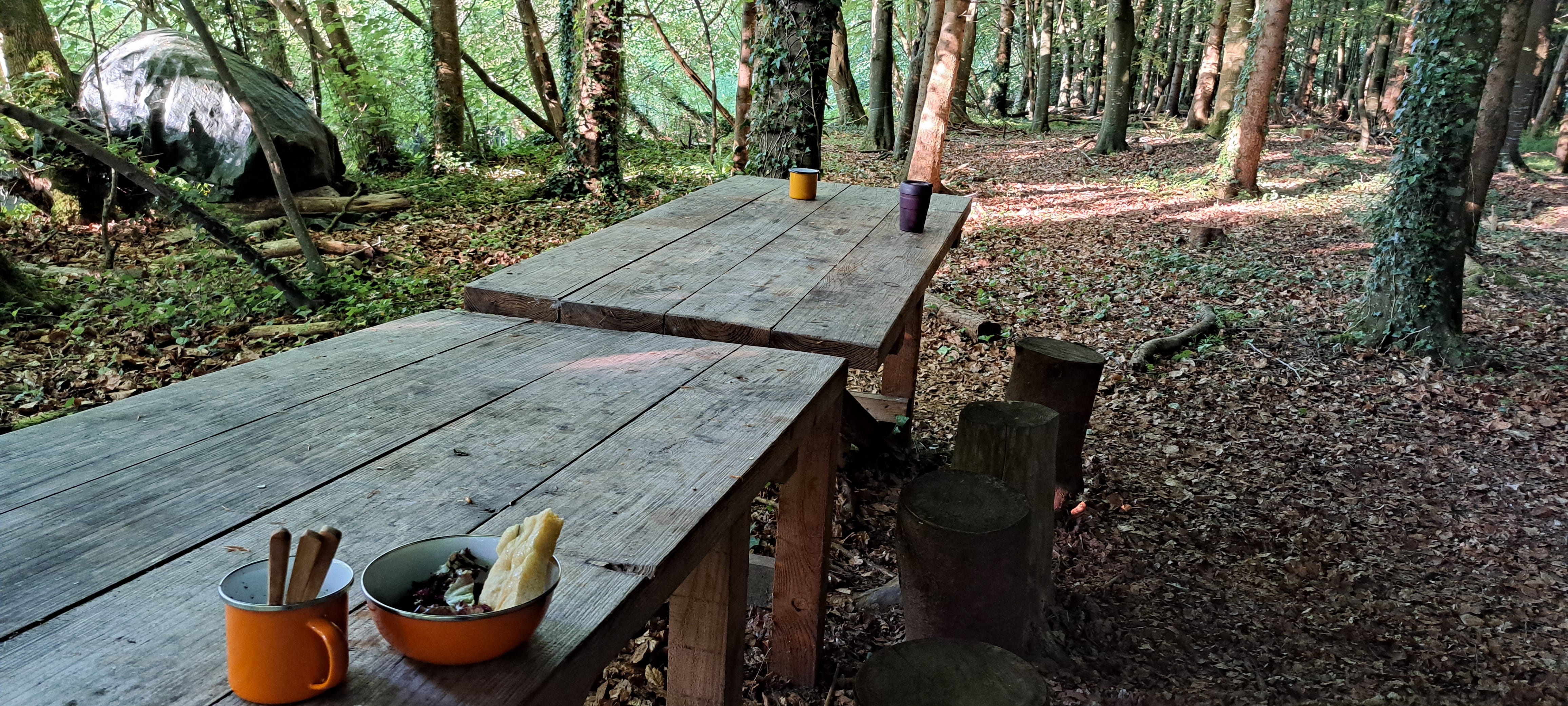 Two trestle tables made from planks of wood butt end to end, lined with logs of differing heights as stools. Three cups and a bowl with wooden cutlery are scatted along the surface.  The dining area is surrounded by trees.