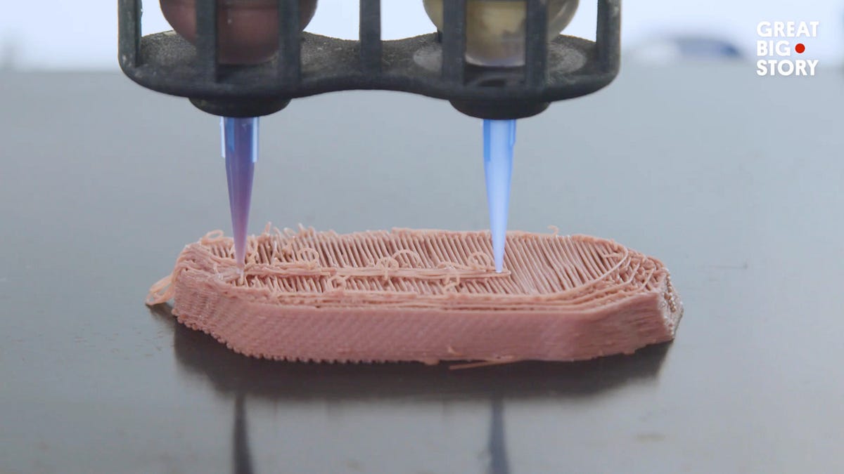3D-Printed Fake Meat and Fish Have Officially Entered American Grocery Stores Without Clear Labeling