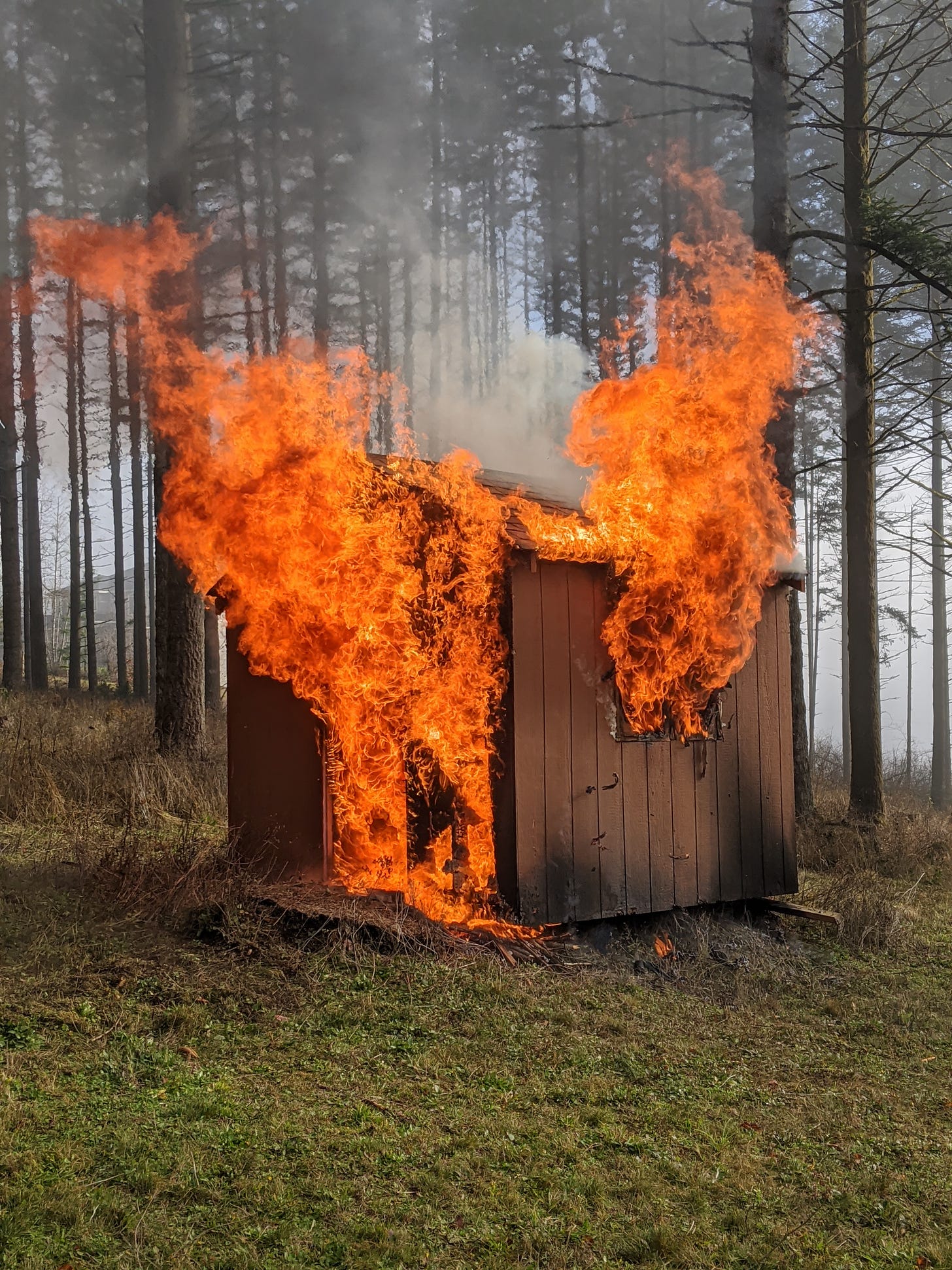 a shed burns in the woods