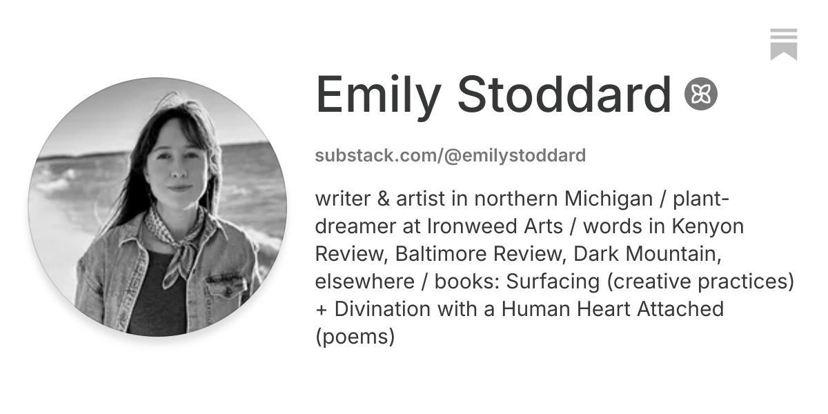 Emily Stoddard | Substack