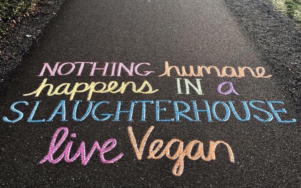 Vegans, Go Chalk!