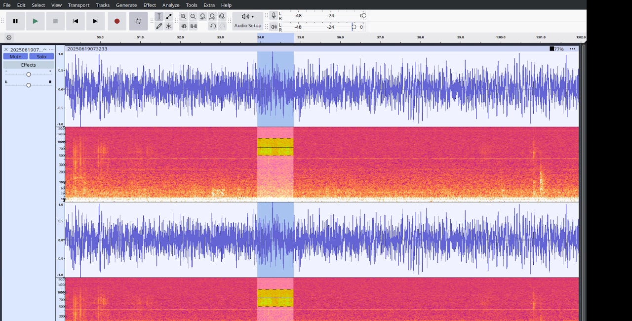 V2K - I just RECORDED the VOICES IN MY HEAD!