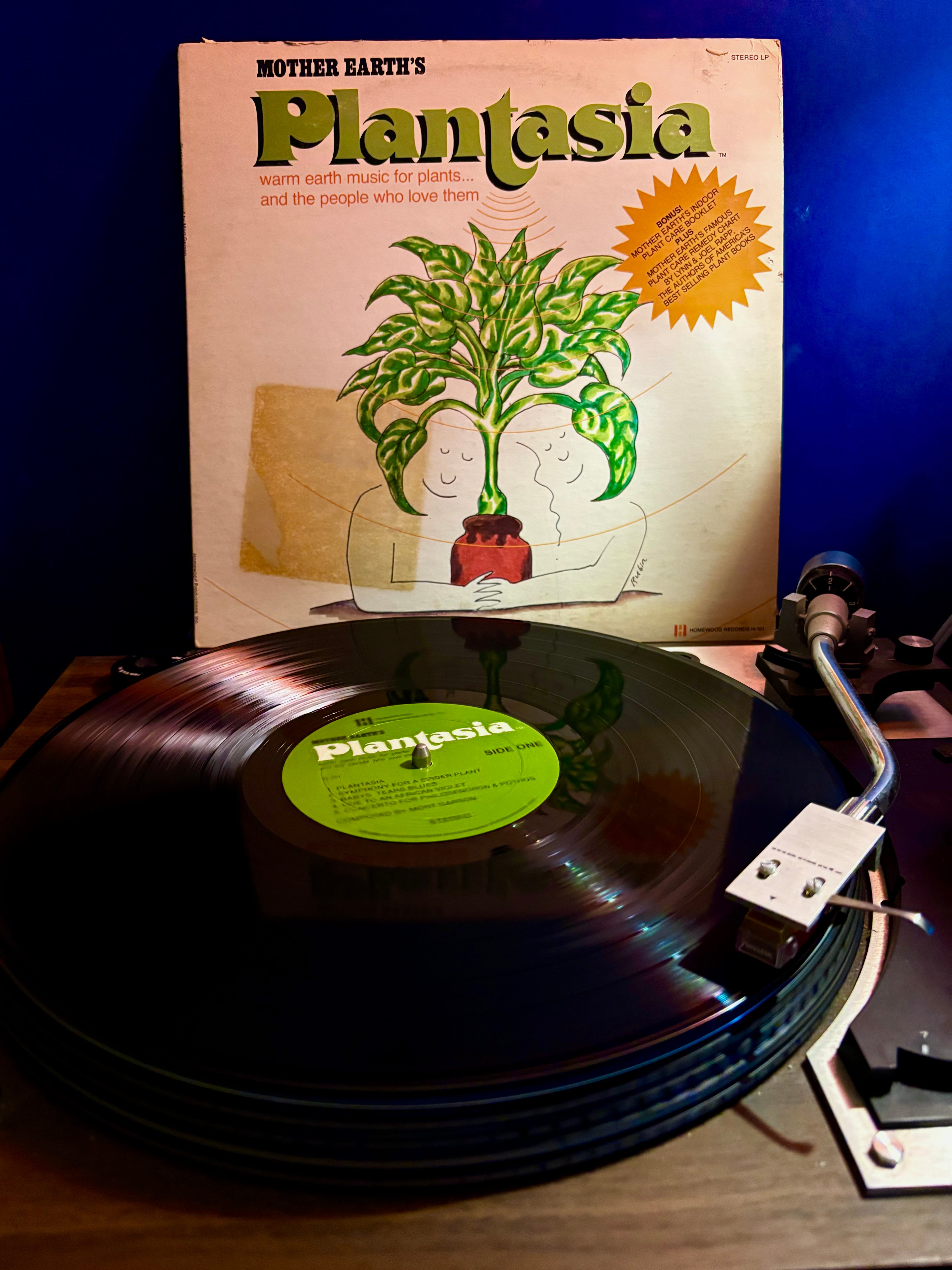 洋楽 Mort Garson / Mother Earth's Plantasia Album of the week: Mort Garson - Mother Earth's Plantasia